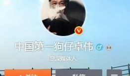 狗仔实锤爆料视频大全下载,揭秘娱乐圈幕后真相