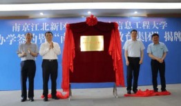 海岛新品爆料最新消息,最新爆料带你领略未知岛屿魅力